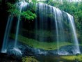 /album/wallpapers/images-5-jpg/